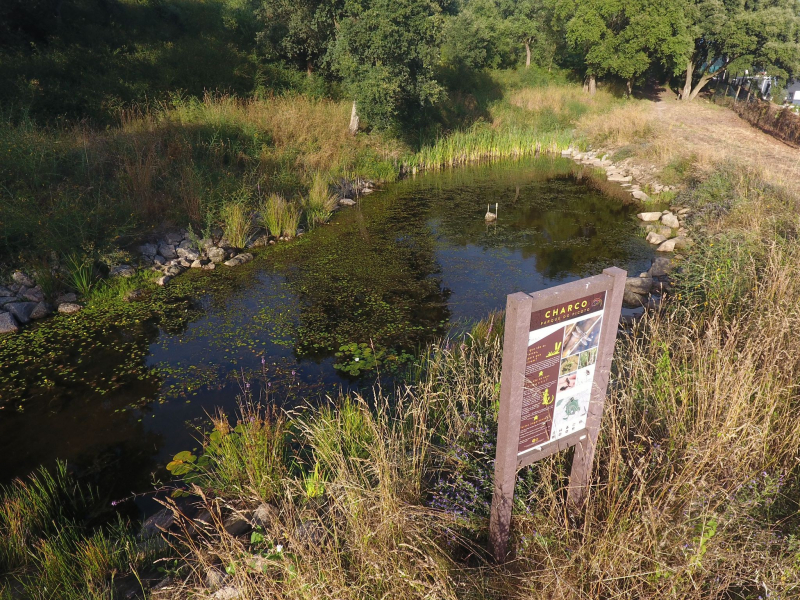 Parque Urbano do Picoto consolida-se como referência ambiental e ecológica