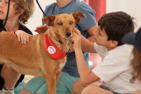 “Voluntaria-te” encerra edição da Páscoa com ações de sensibilização para o bem-estar animal